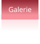 Galerie